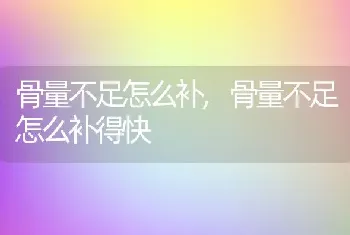 骨量不足怎么补