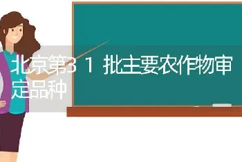 北京第31批主要农作物审定品种