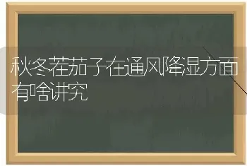 花生种子处理新方法