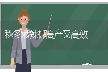 秋冬栽辣椒高产又高效