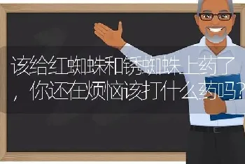 该给红蜘蛛和锈蜘蛛上药了,你还在烦恼该打什么药吗?