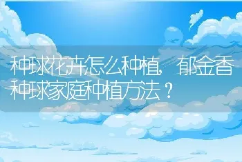 种球花卉怎么种植