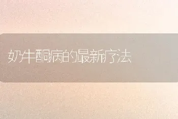 奶牛酮病的最新疗法