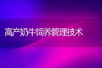 高产奶牛饲养管理技术