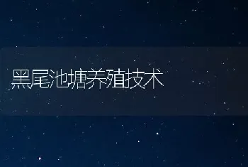 黑尾池塘养殖技术