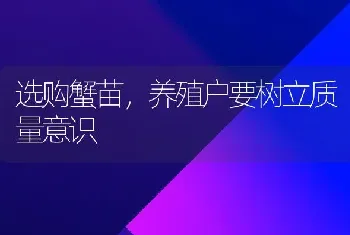 选购蟹苗,养殖户要树立质量意识