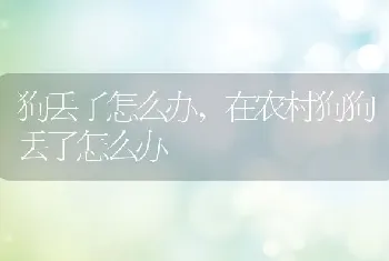 狗丢了怎么办,在农村狗狗丢了怎么办