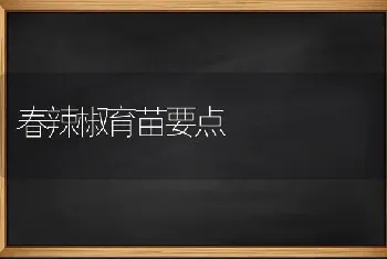 春辣椒育苗要点