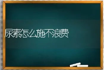 尿素怎么施不浪费