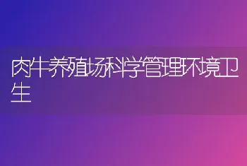 肉牛养殖场科学管理环境卫生