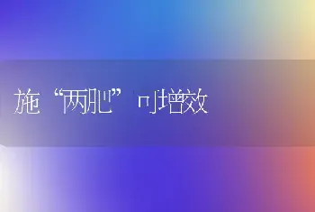 施“两肥”可增效