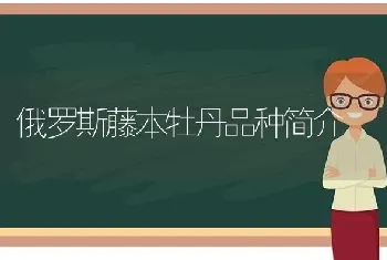 俄罗斯藤本牡丹品种简介