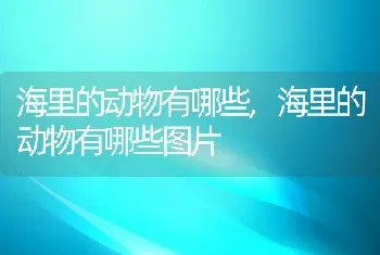 海里的动物有哪些,海里的动物有哪些图片