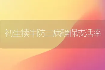 初生犊牛防三病确保成活率