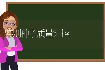 鉴别种子质量5招