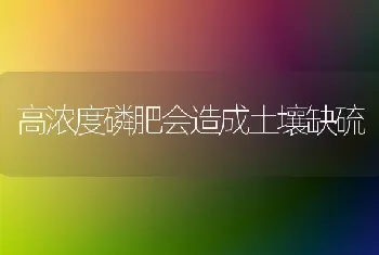 高浓度磷肥会造成土壤缺硫