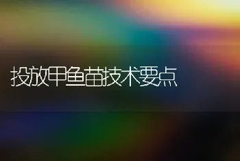 指天椒的管理要点