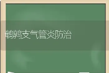 鹌鹑支气管炎防治