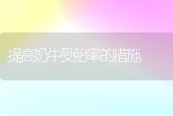 提高奶牛受胎率的措施