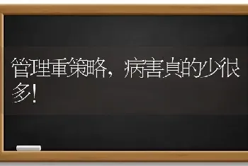 管理重策略,病害真的少很多！