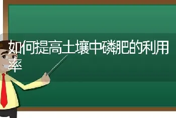 如何提高土壤中磷肥的利用率