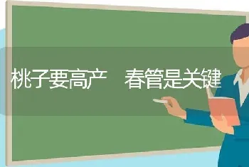 桃子要高产 春管是关键