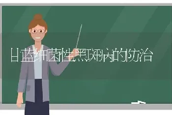 甘蓝细菌性黑斑病的防治