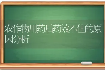 农作物用药后药效不佳的原因分析