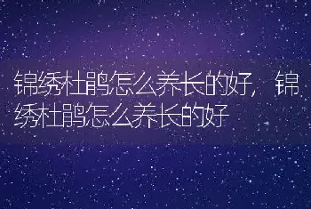 锦绣杜鹃怎么养长的好