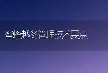 蜜蜂越冬管理技术要点