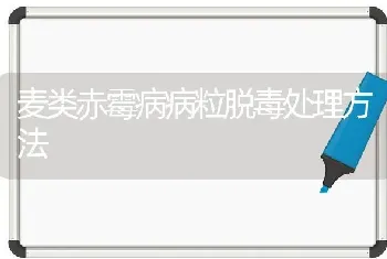 麦类赤霉病病粒脱毒处理方法