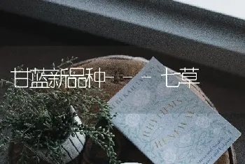 甘蓝新品种---七草