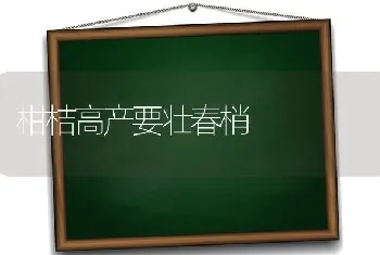 柑桔高产要壮春梢