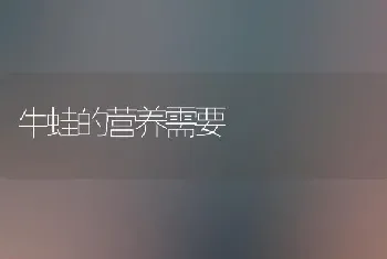 牛蛙的营养需要