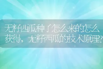 无籽西瓜种子怎么来的怎么获得