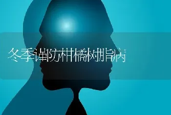 冬季谨防柑橘树脂病