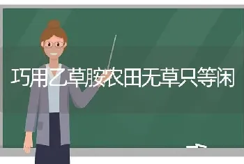 巧用乙草胺农田无草只等闲