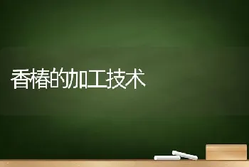 香椿的加工技术