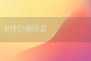 奶牛防暑降温