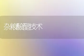 杂粮酿醋技术