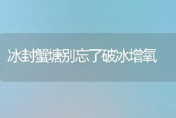 冰封蟹塘别忘了破冰增氧