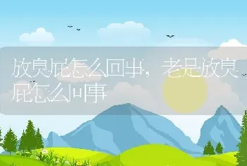 放臭屁怎么回事