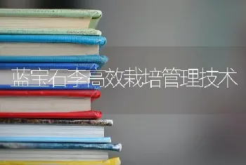 蓝宝石李高效栽培管理技术