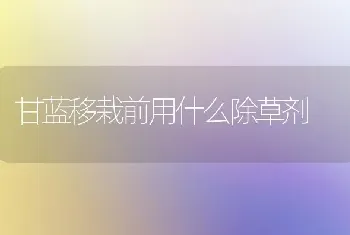 甘蓝移栽前用什么除草剂