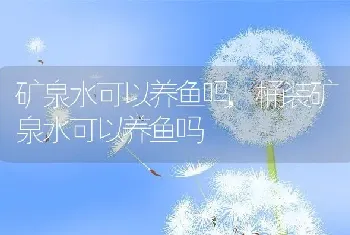 矿泉水可以养鱼吗