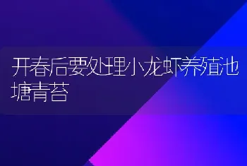 开春后要处理小龙虾养殖池塘青苔