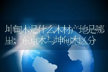 坤甸木是什么木材产地是哪里