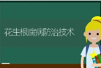 花生根腐病防治技术