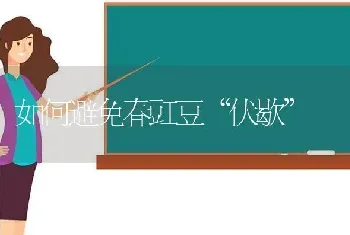 如何避免春豇豆“伏歇”