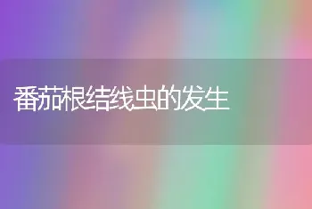 番茄根结线虫的发生